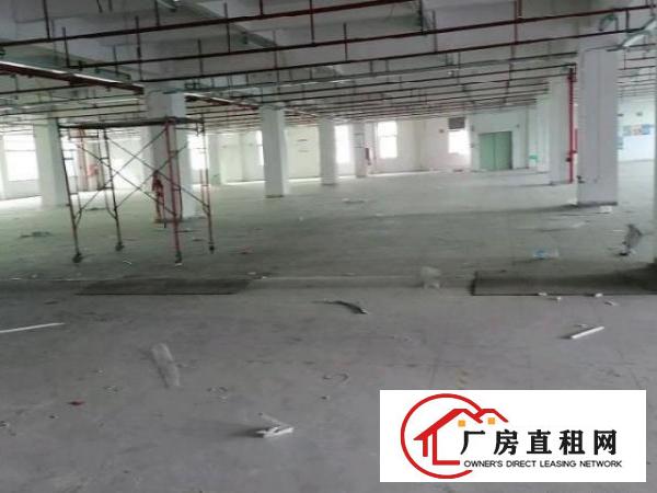  一二楼厂房4000平出租大小可分租，楼上100平起租！