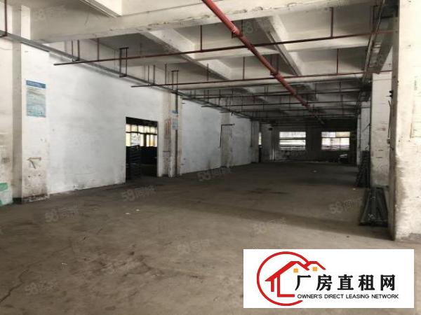  坂田吉华路标准一二楼厂房招租，大小可分租