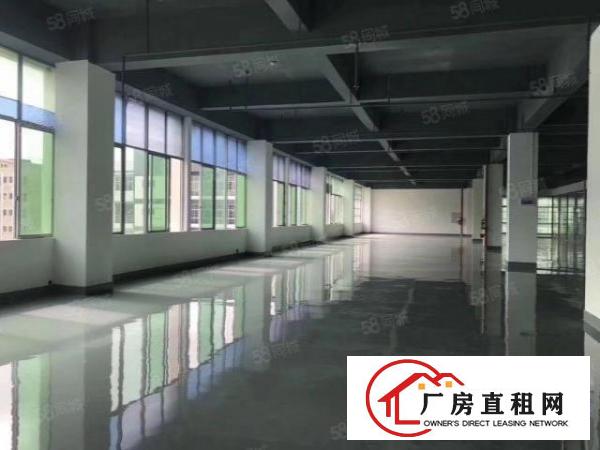  坂田吉华路标准一二楼厂房招租，大小可分租