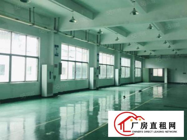  坂田吉华路标准一二楼厂房招租，大小可分租