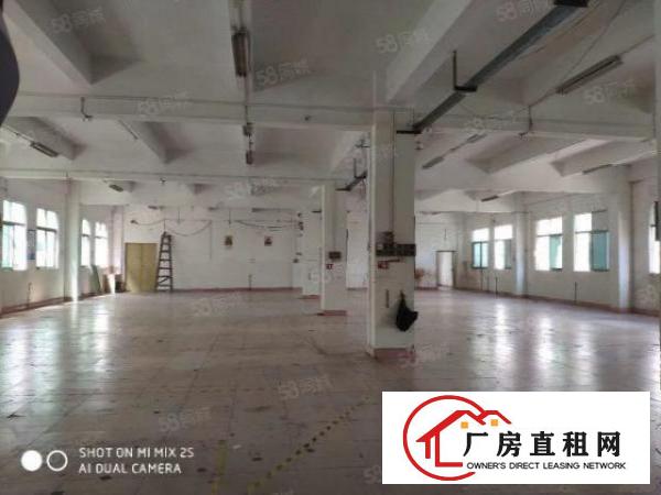  仓库招租1000平米仓库可分租