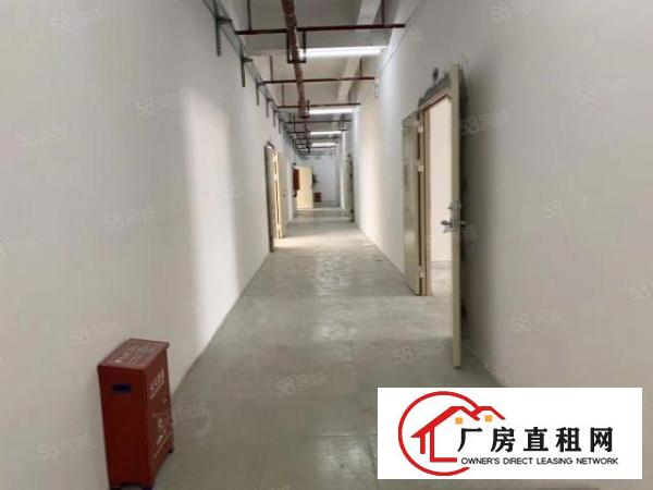  仓库招租1000平米仓库可分租