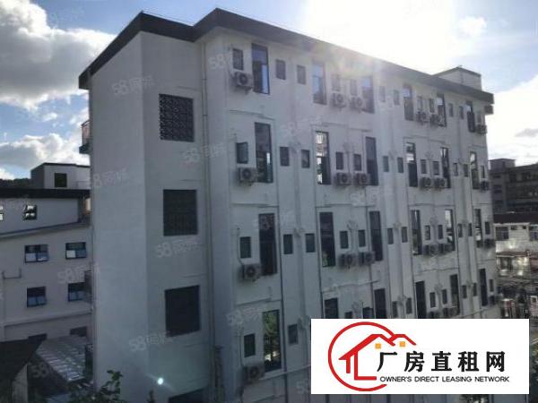  BT龙岗布吉精装修红本商业办公楼写字楼出租