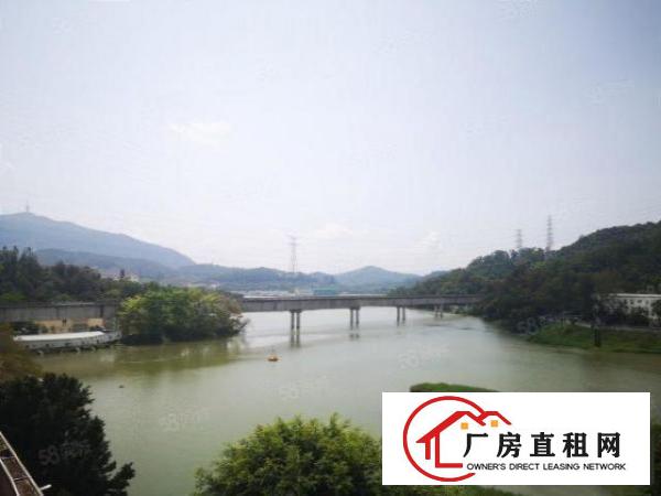  BT龙岗布吉精装修红本商业办公楼写字楼出租