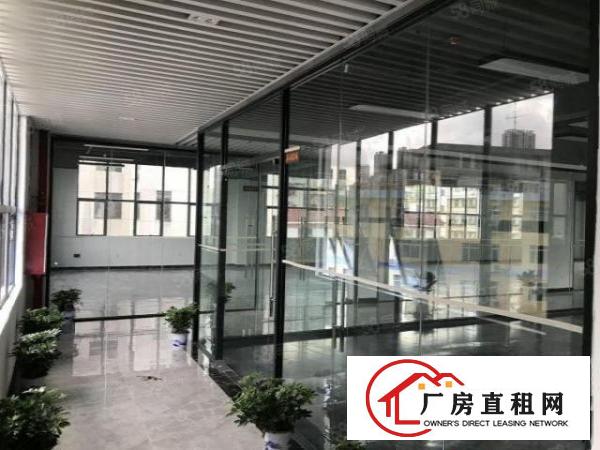  BT龙岗布吉精装修红本商业办公楼写字楼出租