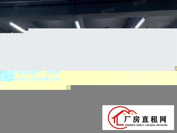  坂田杨美一二楼电商办公80平160平1200平可分租