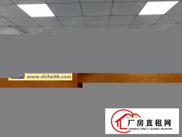  坂田杨美一二楼电商办公80平160平1200平可分租