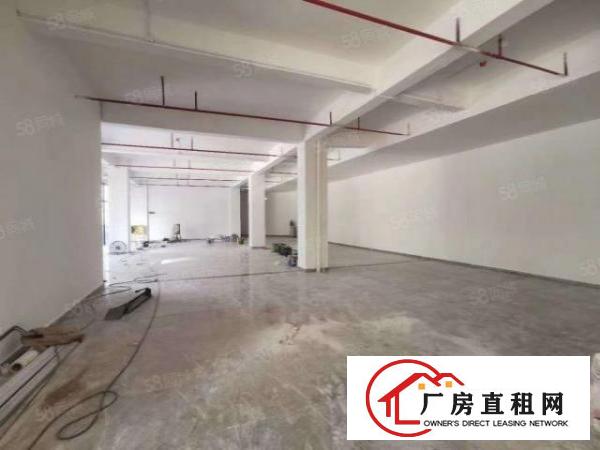  岗头路口一楼100平厂房独门独院，小加工仓库国际物流等