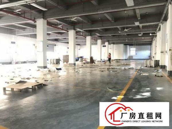  坂田原房东独院厂房3200平方原房东红本使用率高可办环评