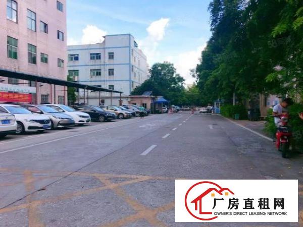  坂田社区吉华路一楼1200平二楼1200平厂房出租，有装修
