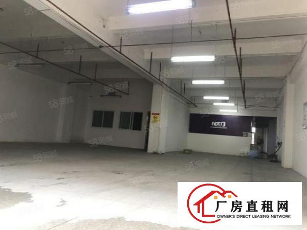  坂田办公厂房仓库450平，2加1格局，水电现成，拎包入住！