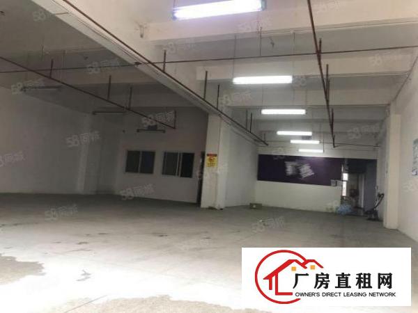  坂田办公厂房仓库450平，2加1格局，水电现成，拎包入住！