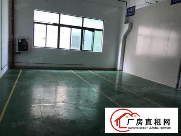  原房东600平，红本面积出租，采光通透，价格美丽