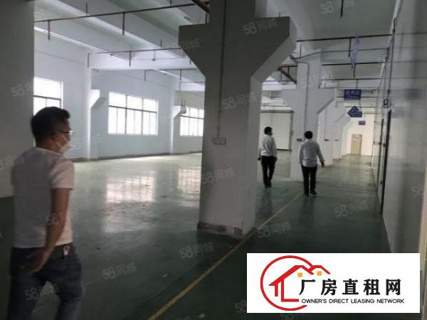  原房东600平，红本面积出租，采光通透，价格美丽