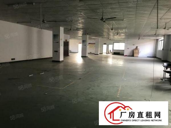  原房东600平，红本面积出租，采光通透，价格美丽