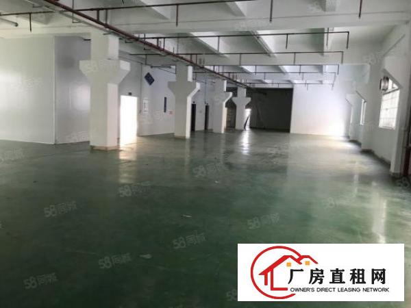  原房东600平，红本面积出租，采光通透，价格美丽