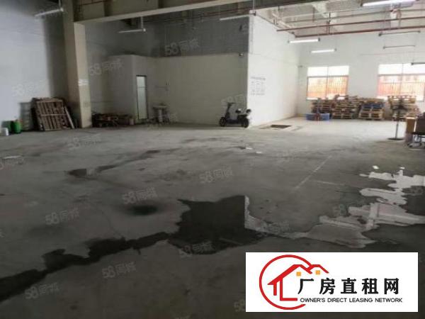  坂田一楼215平方，原房东，零公摊，户型方正！