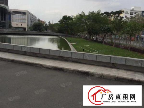  业主直租330平电商办公室新装修带办公家具用品拎包办公