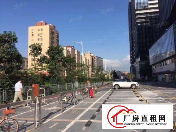  业主直租330平电商办公室新装修带办公家具用品拎包办公