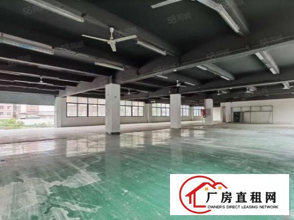  坂田独门独院，6000平的，4层，精装修！可以分租