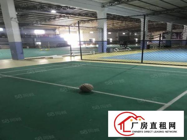  坂田球馆厂房2300平方和4600平方火爆租
