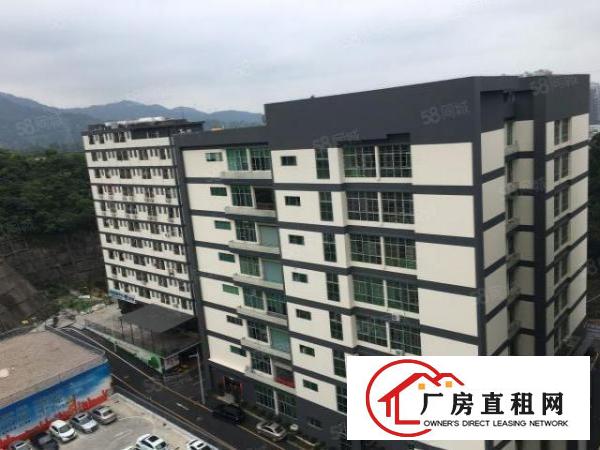  坂田杨美地铁站附近楼上整层2400平方厂房出租可以分租