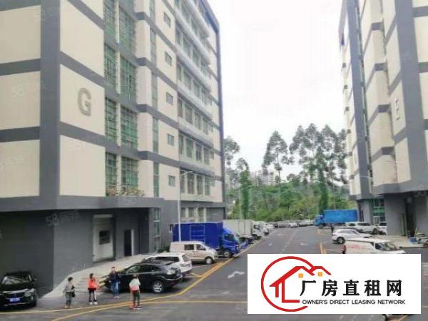  坂田杨美地铁站附近楼上整层2400平方厂房出租可以分租