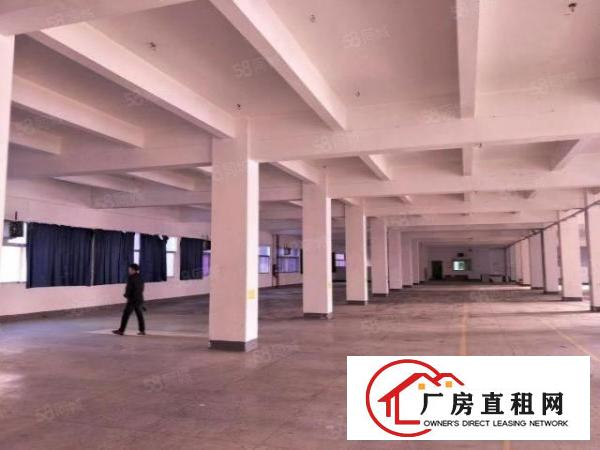  坂田杨美地铁站附近楼上整层2400平方厂房出租可以分租