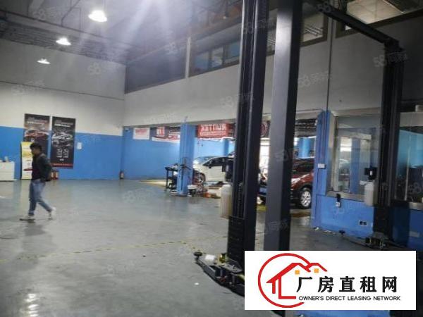  坂田天虹旁带装修一楼300平米出租