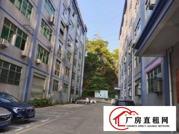  坂田上雪科技园新出1360平红本厂房原房东直租带消防喷淋