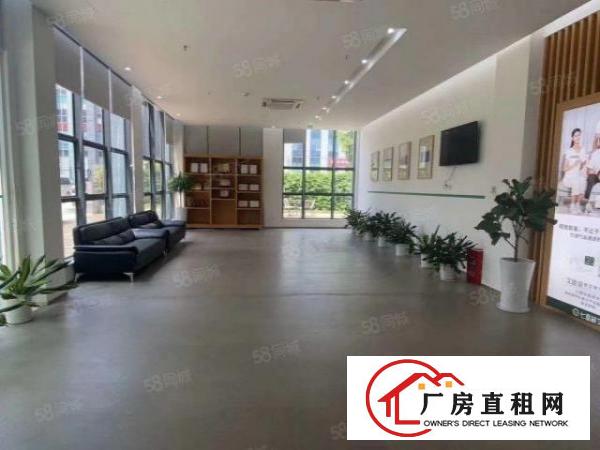  坂田华为附近新出红本厂房一楼1200平豪华装修出租