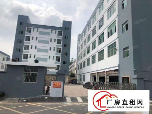  六约小面积红本厂房出租有装修200平300平分租