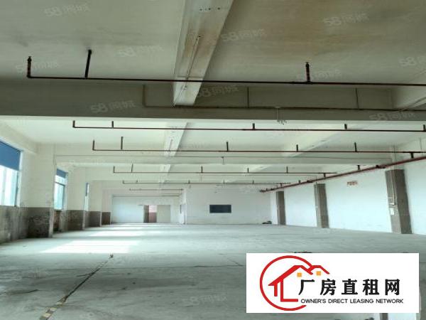  4楼700平米，有消防喷淋，采光好，户型方正