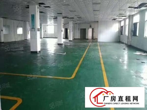  布吉丹竹头地铁站2400平米楼上豪华装修厂房出租，可分租