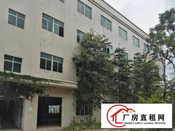  布吉丹竹头地铁站2400平米楼上豪华装修厂房出租，可分租