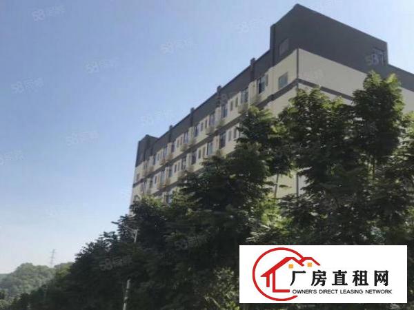  坂田杨美电商园厂房60平方到2400平方出租