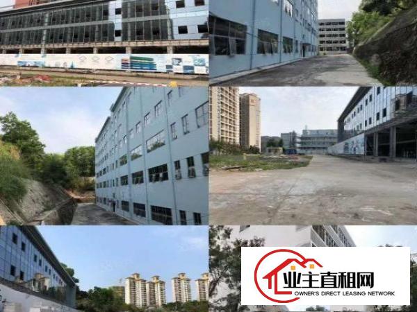  杨美地铁口独院2003000平全新改造有消防停车位足，带精装