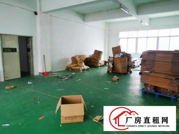  杨美地铁口电商园厂房办公600平米出租