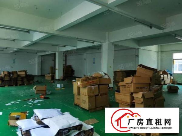  杨美地铁口电商园厂房办公600平米出租