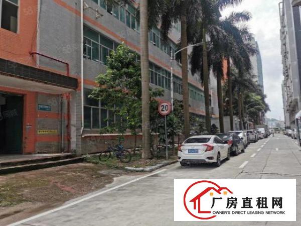  杨美地铁口电商园厂房办公600平米出租