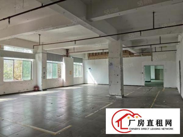  杨美地铁600米坂银通道口单层1400平独院厂房适合电商办公