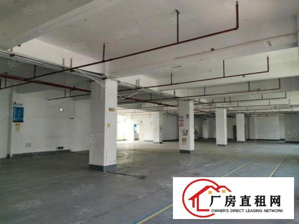  杨美地铁600米坂银通道口单层1400平独院厂房适合电商办公