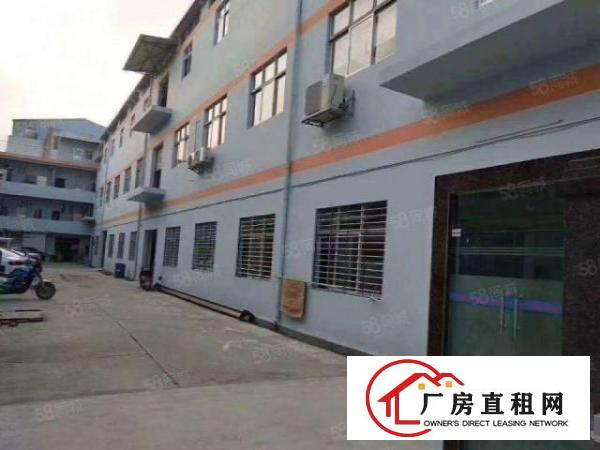 坂田1800平方红本厂房出租，消防主体验收合格