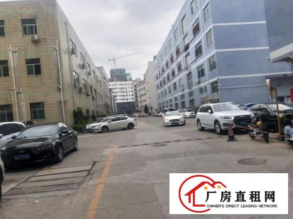  杨美地铁站一楼600平方招租