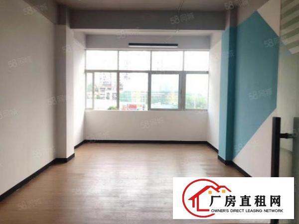  杨美C出口，小面积55平方，带装修，租金2900块，