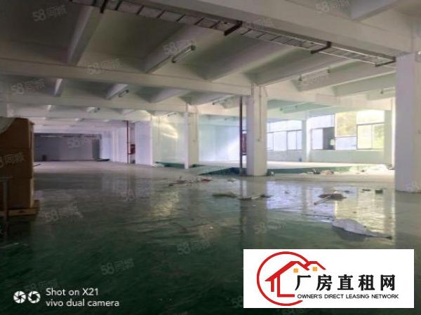  独门独院厂房4800平米，可分1200平米，600平米