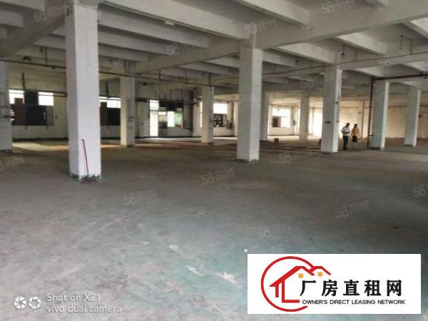  独门独院厂房4800平米，可分1200平米，600平米