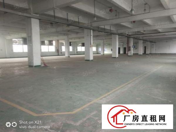  独门独院厂房4800平米，可分1200平米，600平米