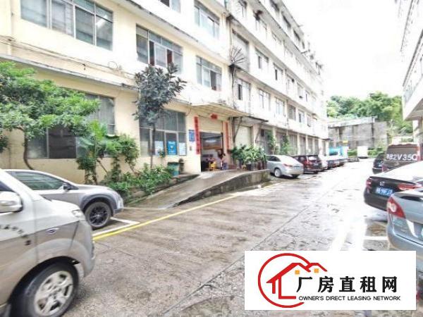  坂田上雪2楼1280平出租，19.5元平，使用率高，行业不限