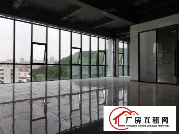  杨美地铁站旁办公室，100平1000平，可以大小分租